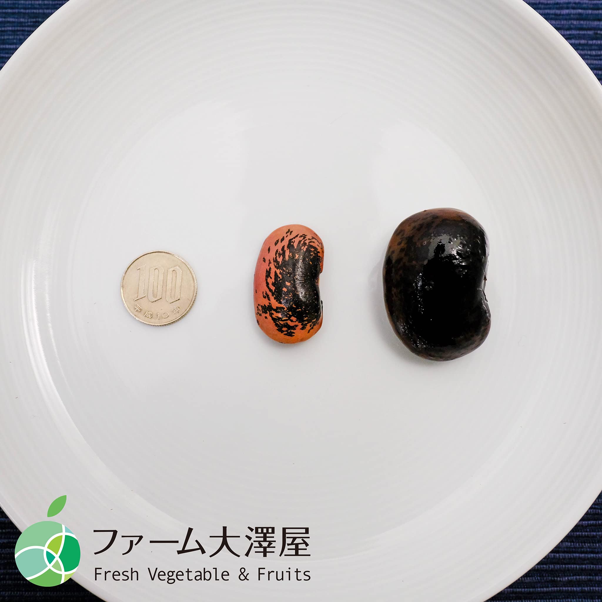 Amazon.co.jp: 高原花豆 豆 2025年度産 約400g 長野県産 : 食品・飲料
